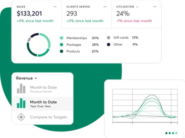 Mindbody reporting features