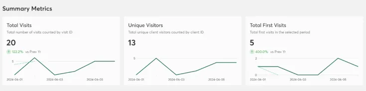 Analytics 2.0 First Visits and Total Visits